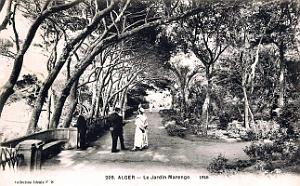 Alger - Jardin Marengo - 1916